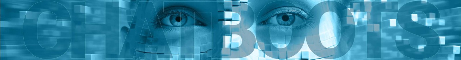 Chatbots Evomarca